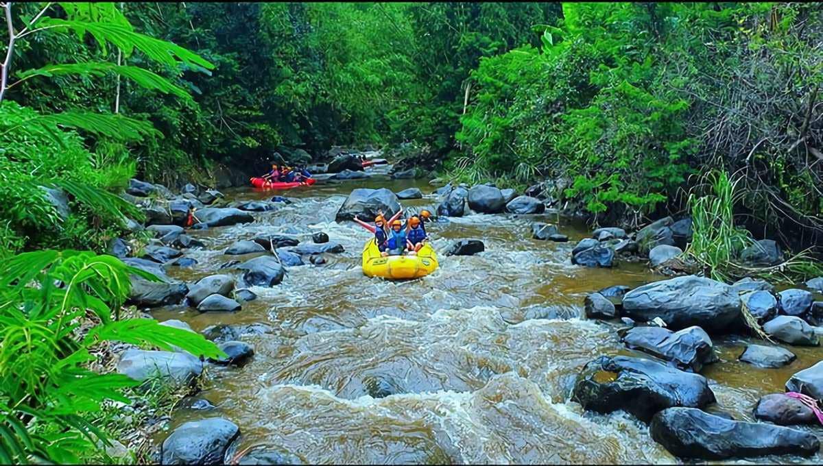 Batu Rafting: Petualangan Seru Arung Jeram di Tengah Sejuknya Kota Batu