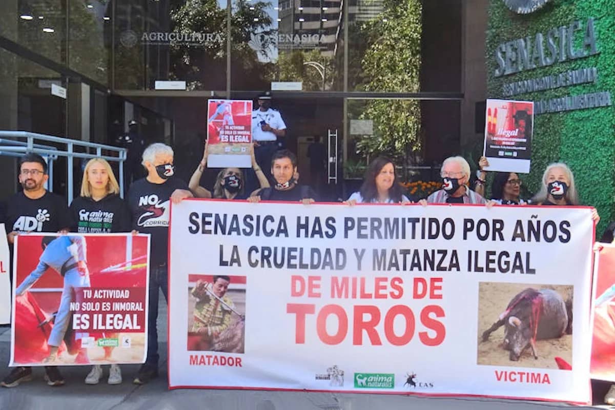 Activists in animal costumes to symbolize the plight of animals, part of an animal rights protest in Mexico