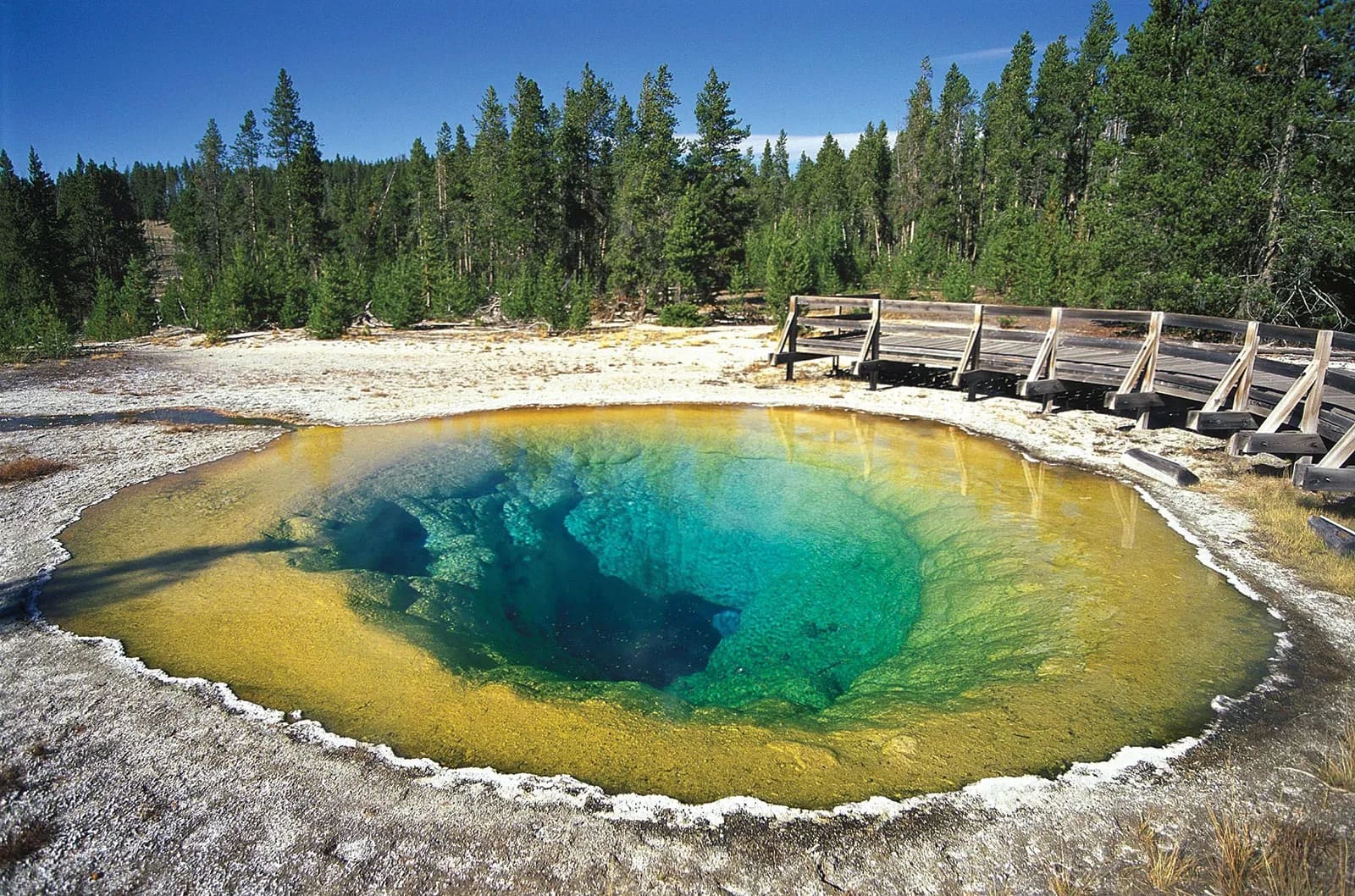 Yellowstone National Park A Journey Through America’s First Iconic Landscape