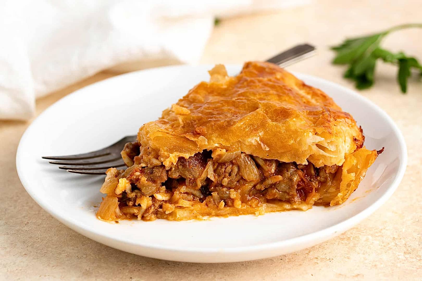 A variety of meat pies showcasing different fillings and crusts from around the world.