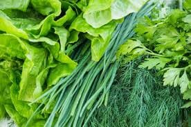 Fresh Greens