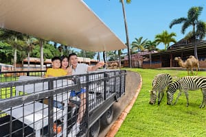 Jawa Timur Park 2: Wisata Edukasi dan Hiburan Lengkap di Kota Batu 2025