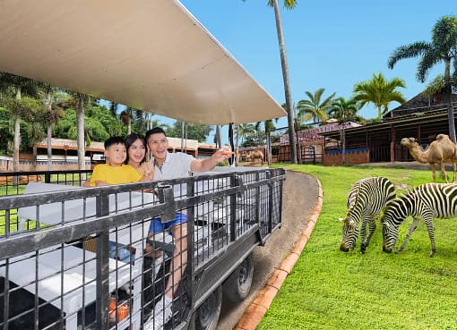 Jawa Timur Park 2: Wisata Edukasi dan Hiburan Lengkap di Kota Batu 2025