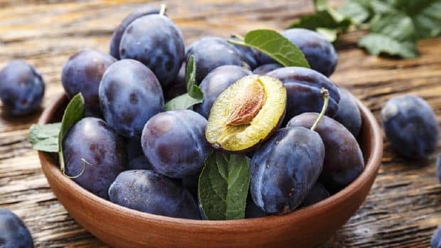 Buah Plum