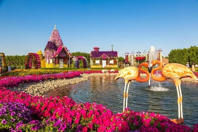 Dubai Miracle Garden: Eksplorasi Keajaiban Bunga di Taman Ajaib Terbesar di Dunia