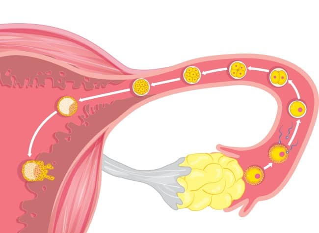 menstruasi-proses-alami-wanita-dan-pentingnya